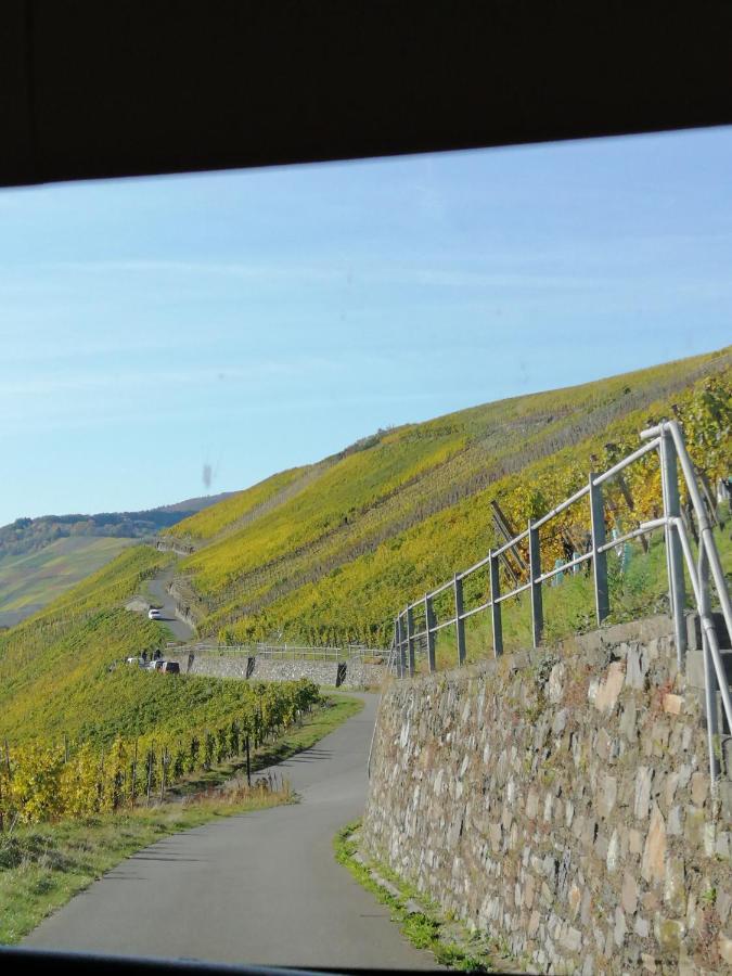 Weingut Licht-Stadtfeld Brauneberg Bagian luar foto