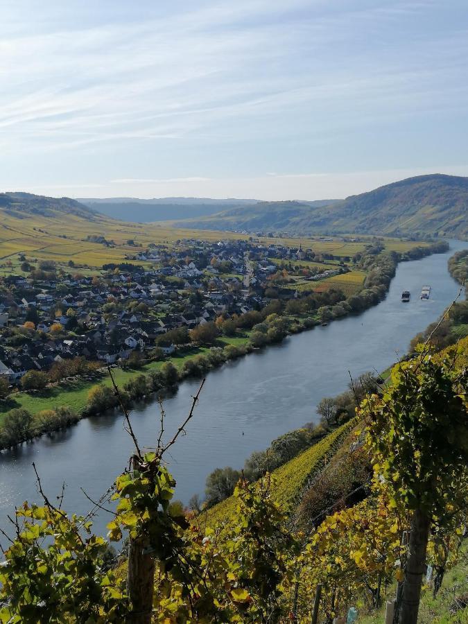 Weingut Licht-Stadtfeld Brauneberg Bagian luar foto