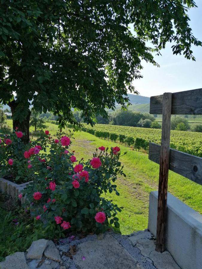 Weingut Licht-Stadtfeld Brauneberg Bagian luar foto
