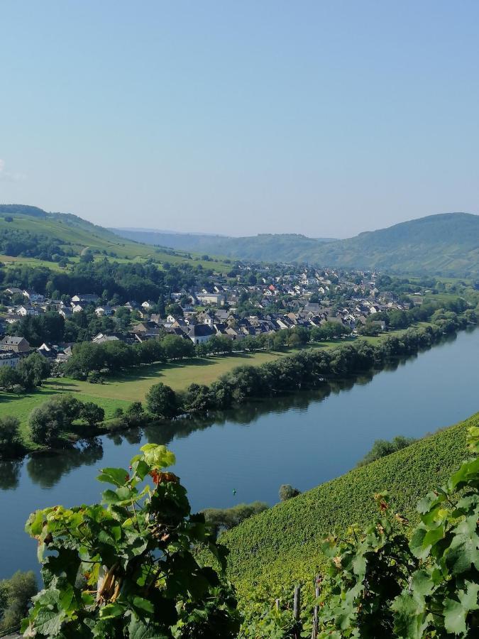 Weingut Licht-Stadtfeld Brauneberg Bagian luar foto